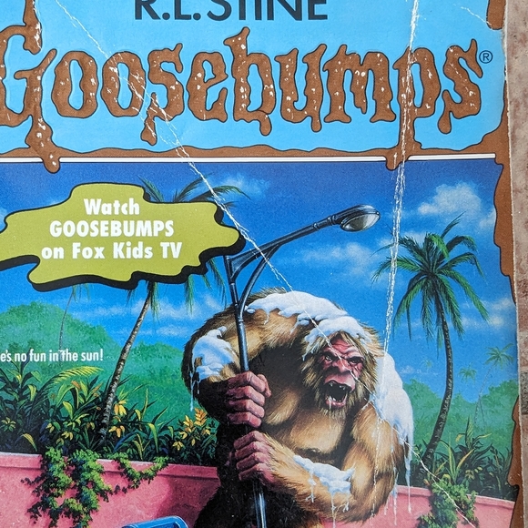 Goosebumps Book Lot - R.L. Stine - scholastic - retro - good used condition - Picture 10 of 15